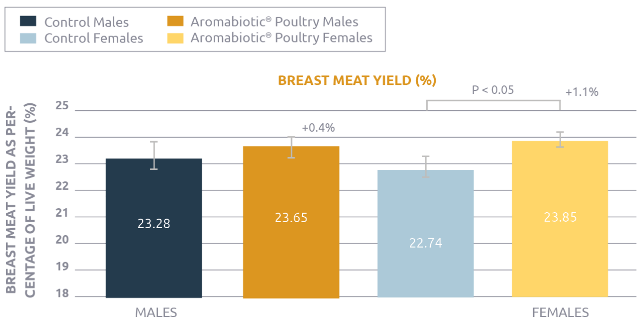 Improving breast meat yield Agrimprove Agrimprove